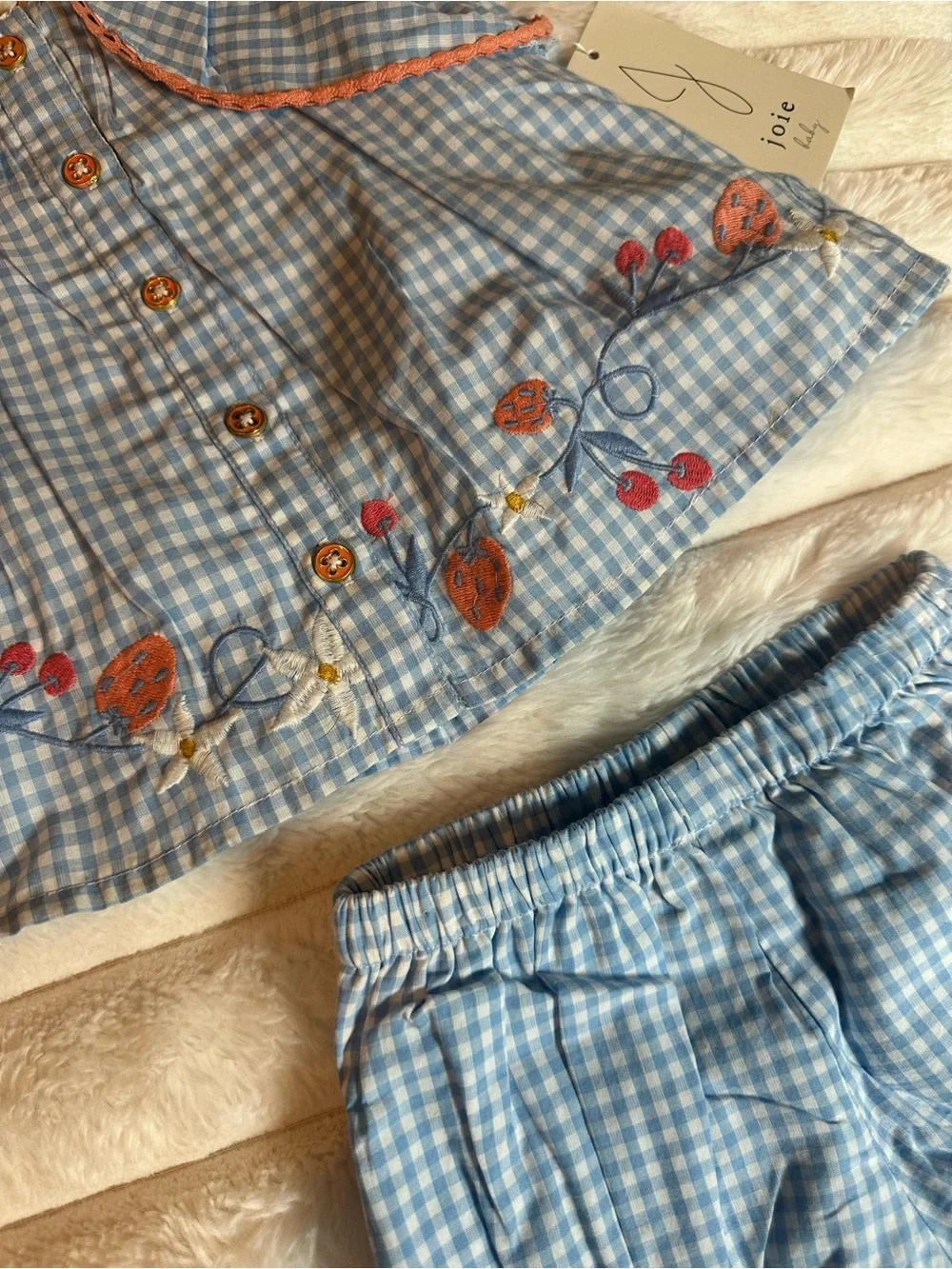 Joie Blue Gingham Girls Matching Set with Coral Embroidery